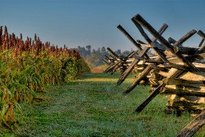Antietam Fields, Jeffrey Logesky, Photography