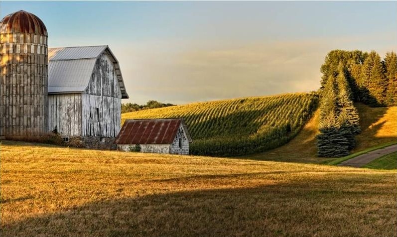 Barn