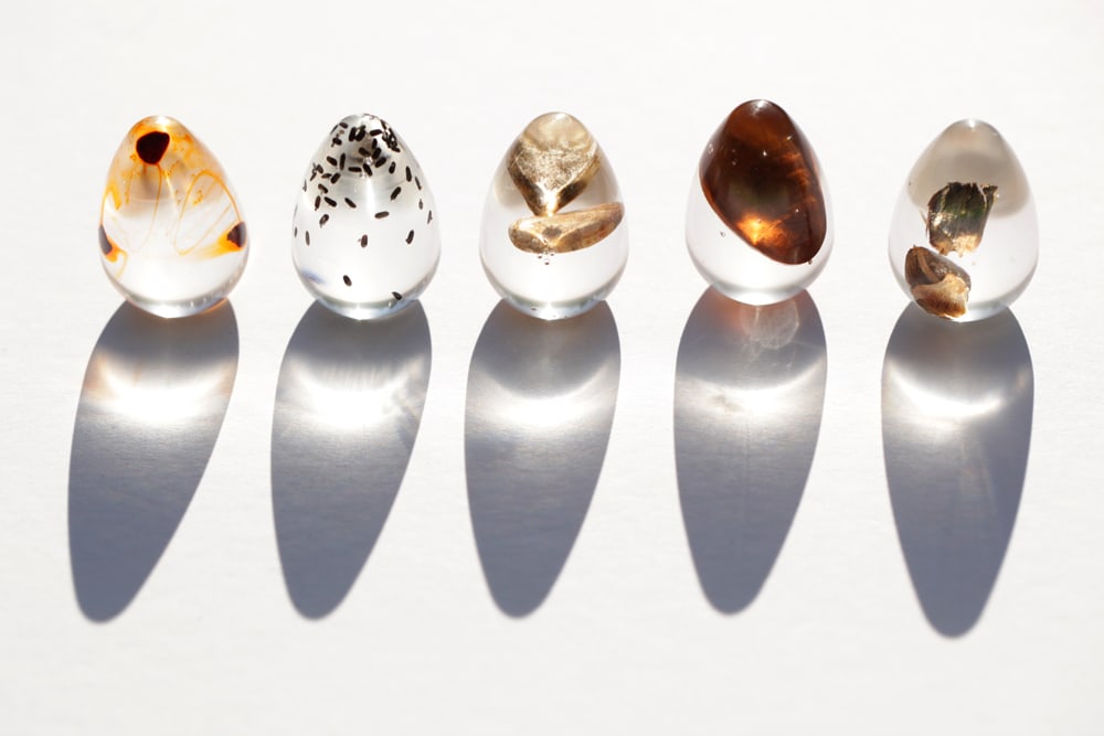 egg pod line up1