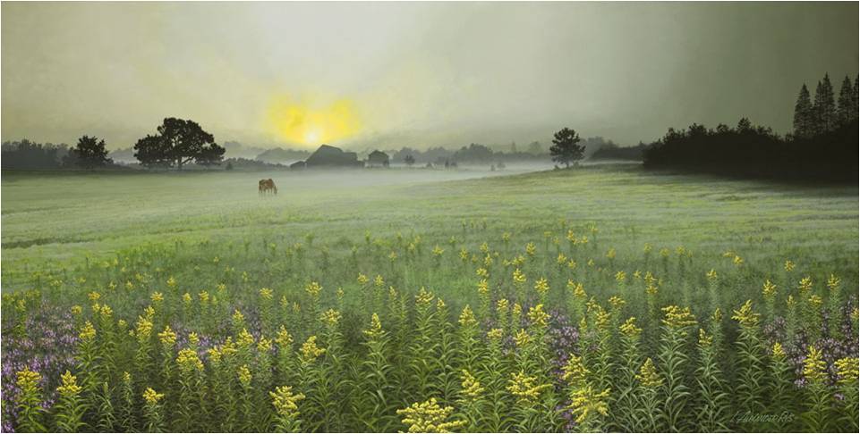 Scenic grassy field at sunrise, Lake Health Tripoint Medical, Distinctive Art Source